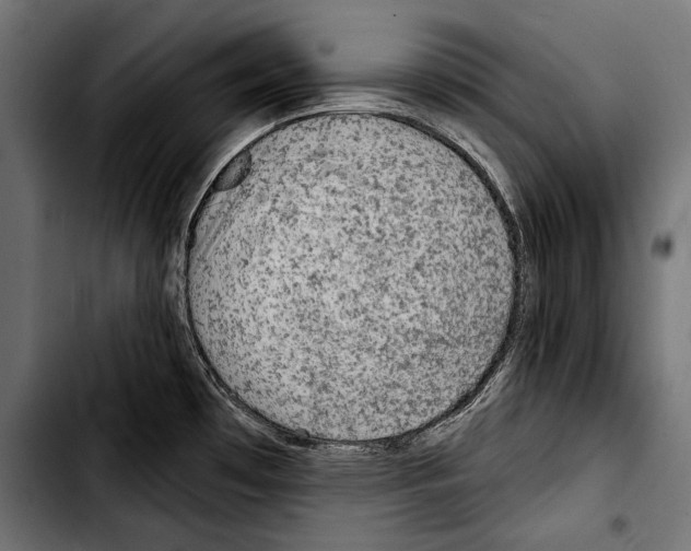 X0000103321481200810171350