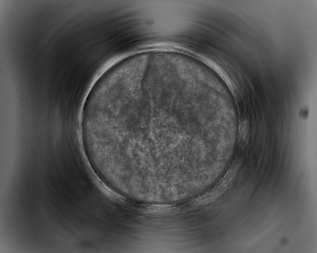X0000103321482200810171350