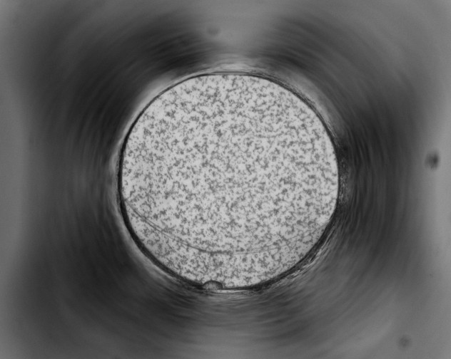 X0000103321483200810171350
