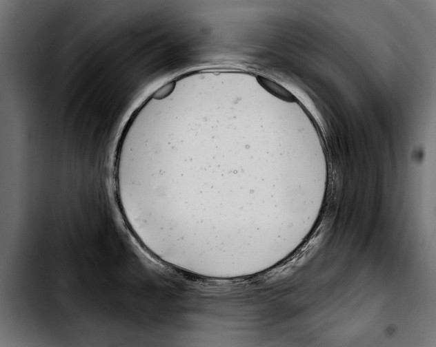X0000103321485200810171350