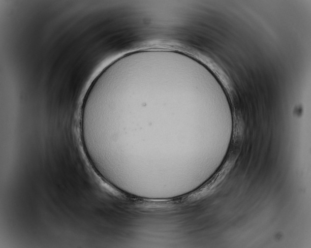 X0000103321486200810171350