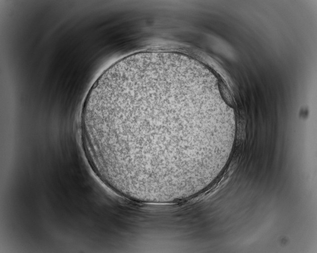 X0000103321487200810171350
