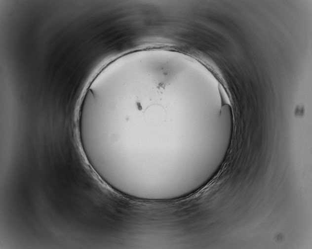 X0000103321488200810171350