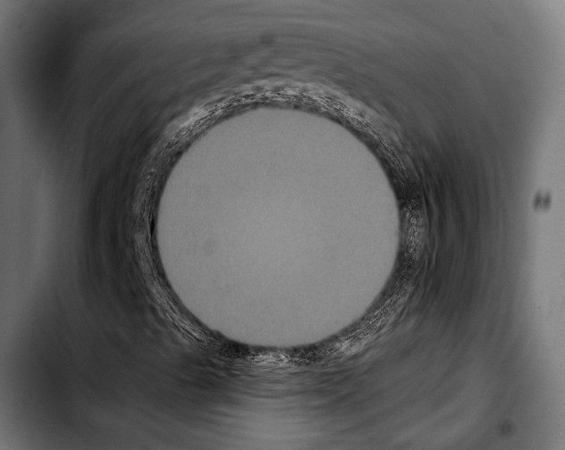 X0000103321489200810171349
