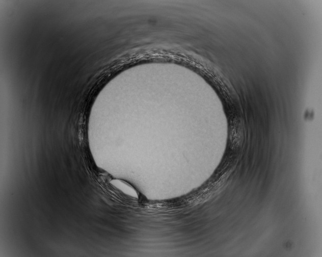 X0000103321490200810171349