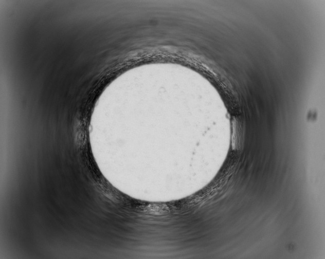 X0000103321491200810171349