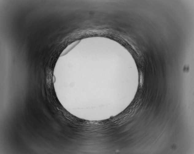 X0000103321492200810171349