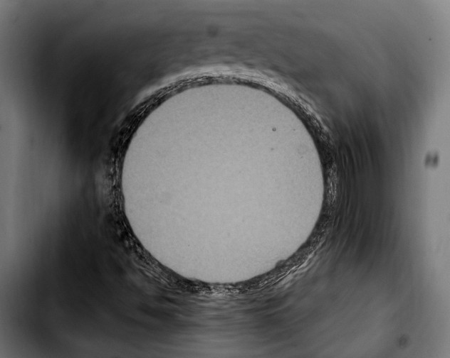 X0000103321494200810171349
