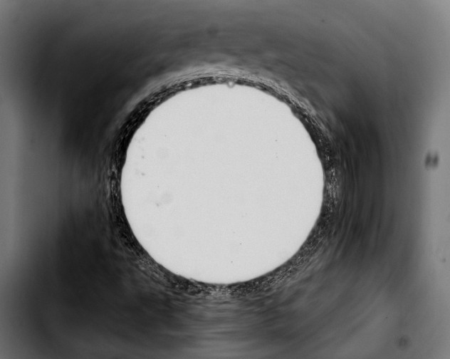 X0000103321495200810171349