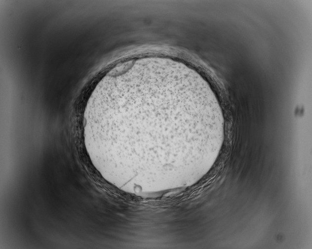 X0000103321496200810171349