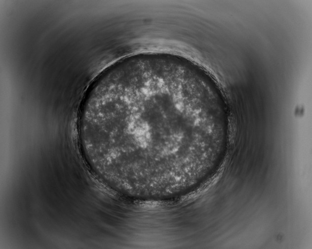 X0000103321497200810171349