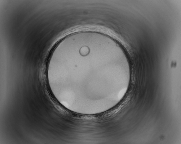 X0000103321498200810171349