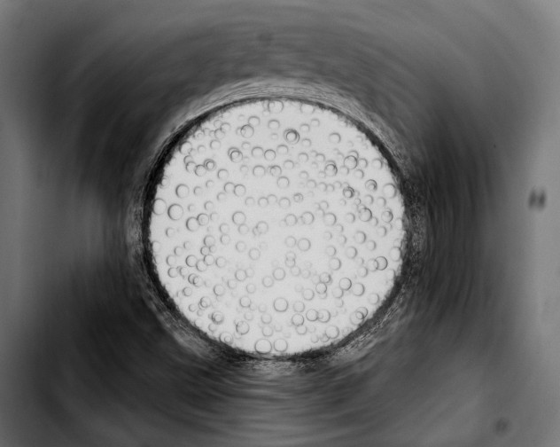 X0000103321499200810171349