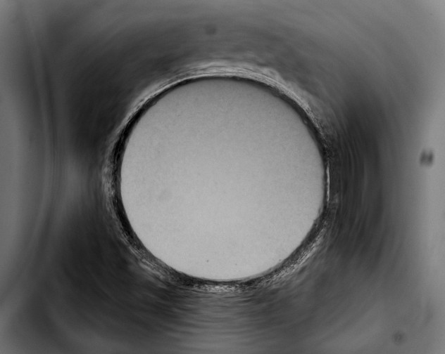 X0000103321501200810171349