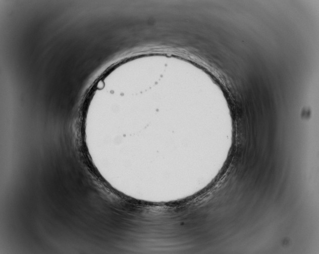 X0000103321502200810171349