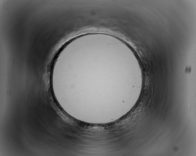 X0000103321503200810171349