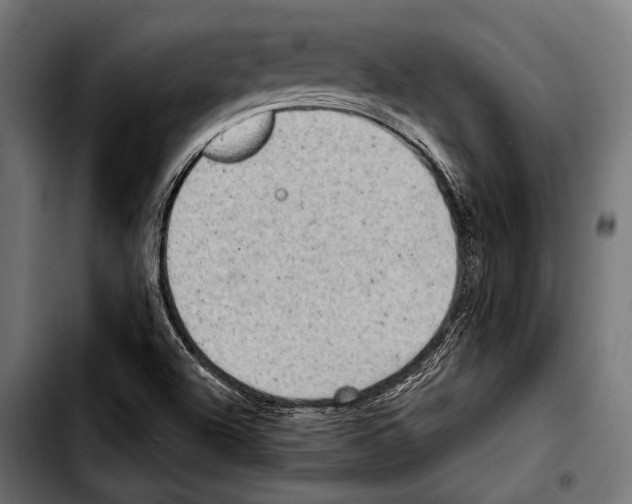 X0000103321504200810171349