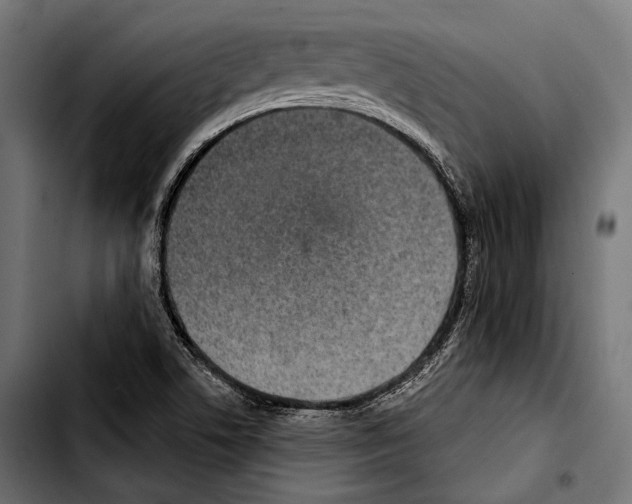 X0000103321506200810171349