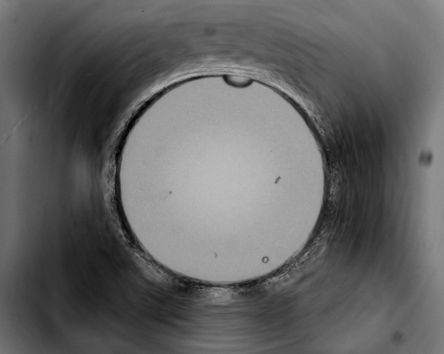 X0000103321507200810171349