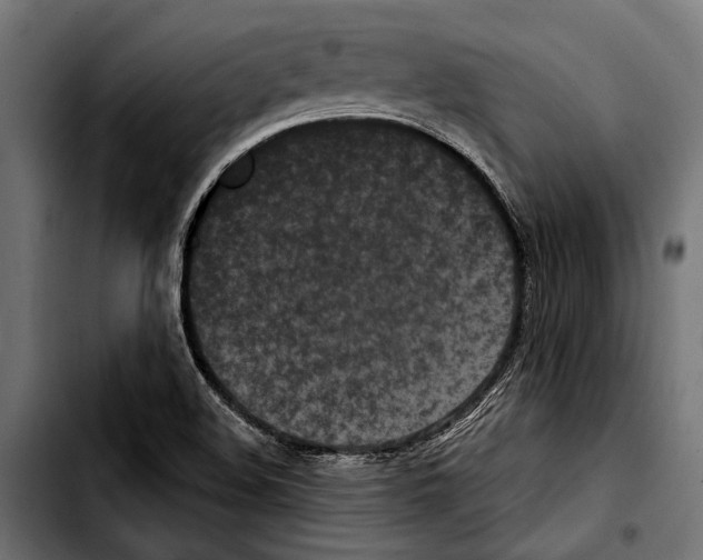 X0000103321508200810171349
