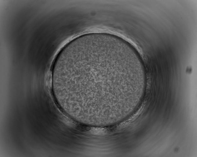 X0000103321509200810171349