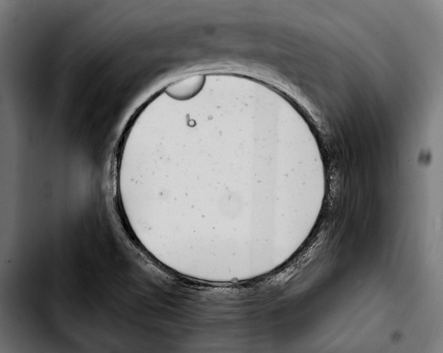 X0000103321510200810171349