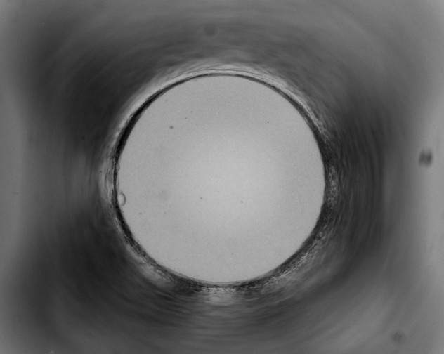 X0000103321511200810171349