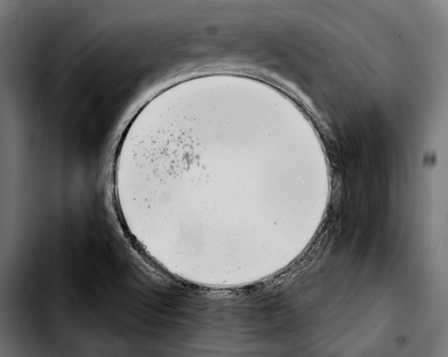 X0000103321512200810171349