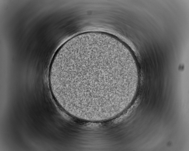 X0000103321513200810171349