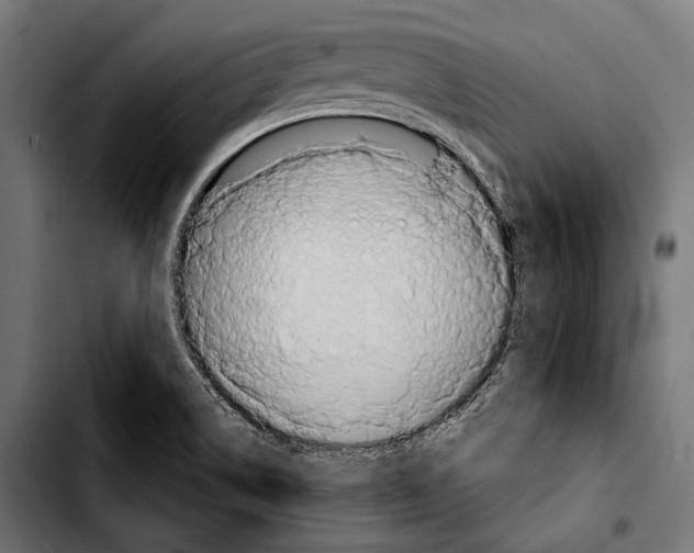 X0000103321514200810171349