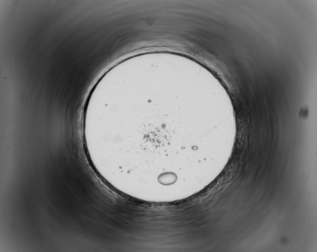 X0000103321516200810171350