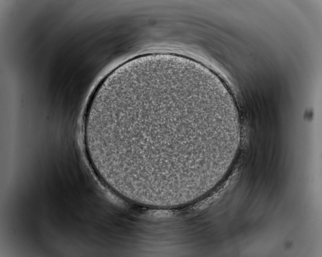 X0000103321517200810171350