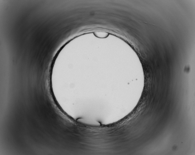 X0000103321518200810171350