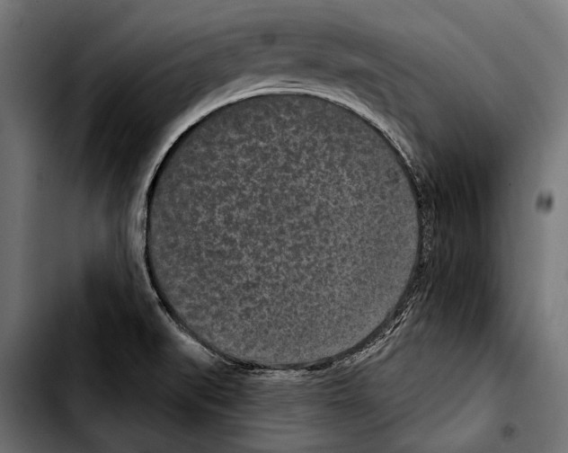 X0000103321519200810171350