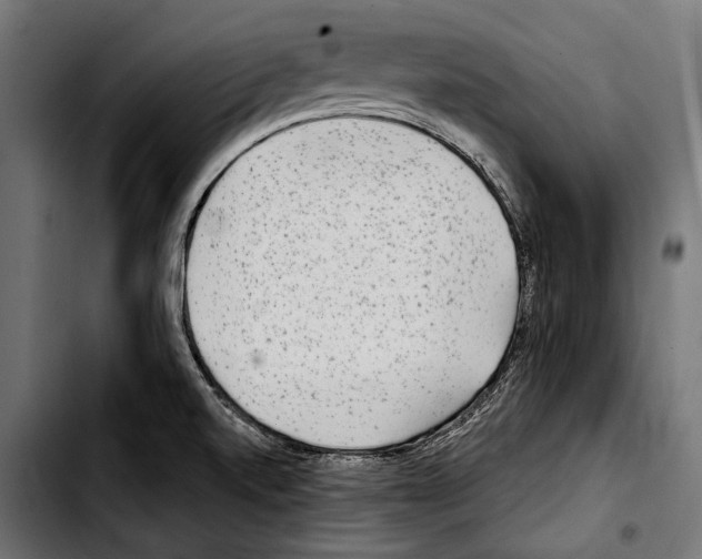 X0000103321520200810171350