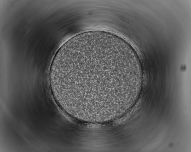 X0000103321521200810171350