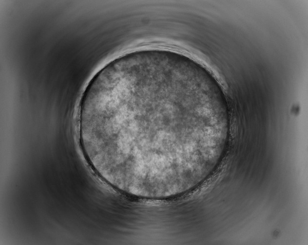 X0000103321522200810171350