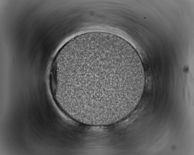 X0000103321523200810171350