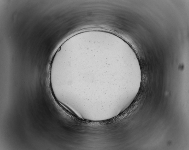 X0000103321524200810171350