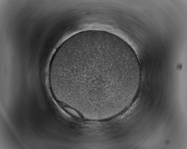 X0000103321525200810171350