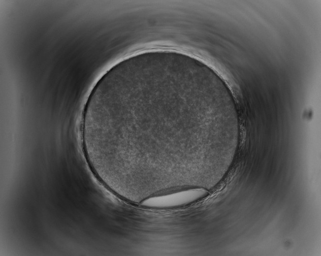 X0000103321527200810171350