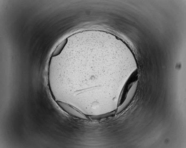 X0000103321528200810171350