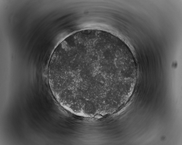 X0000103321529200810171350