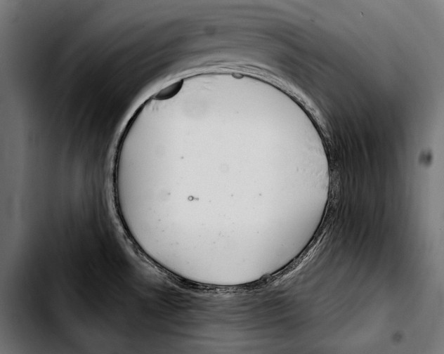 X0000103321530200810171350