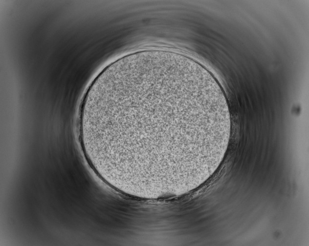 X0000103321531200810171350
