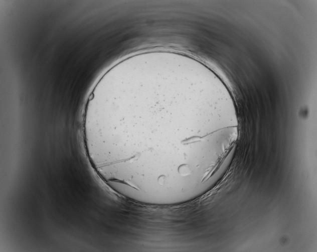 X0000103321532200810171350