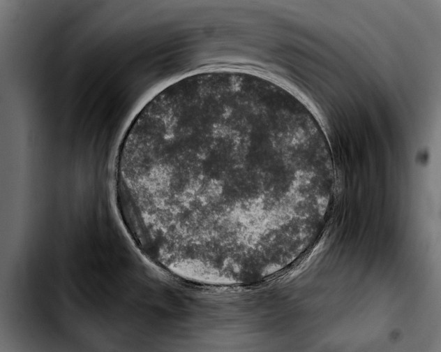 X0000103321533200810171350