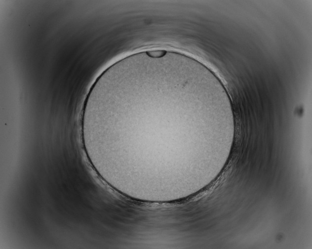 X0000103321534200810171350