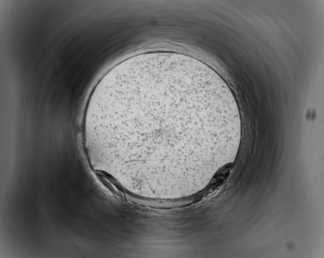 X0000103321536200810171350