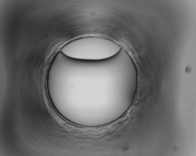 X0000103330001200809051033